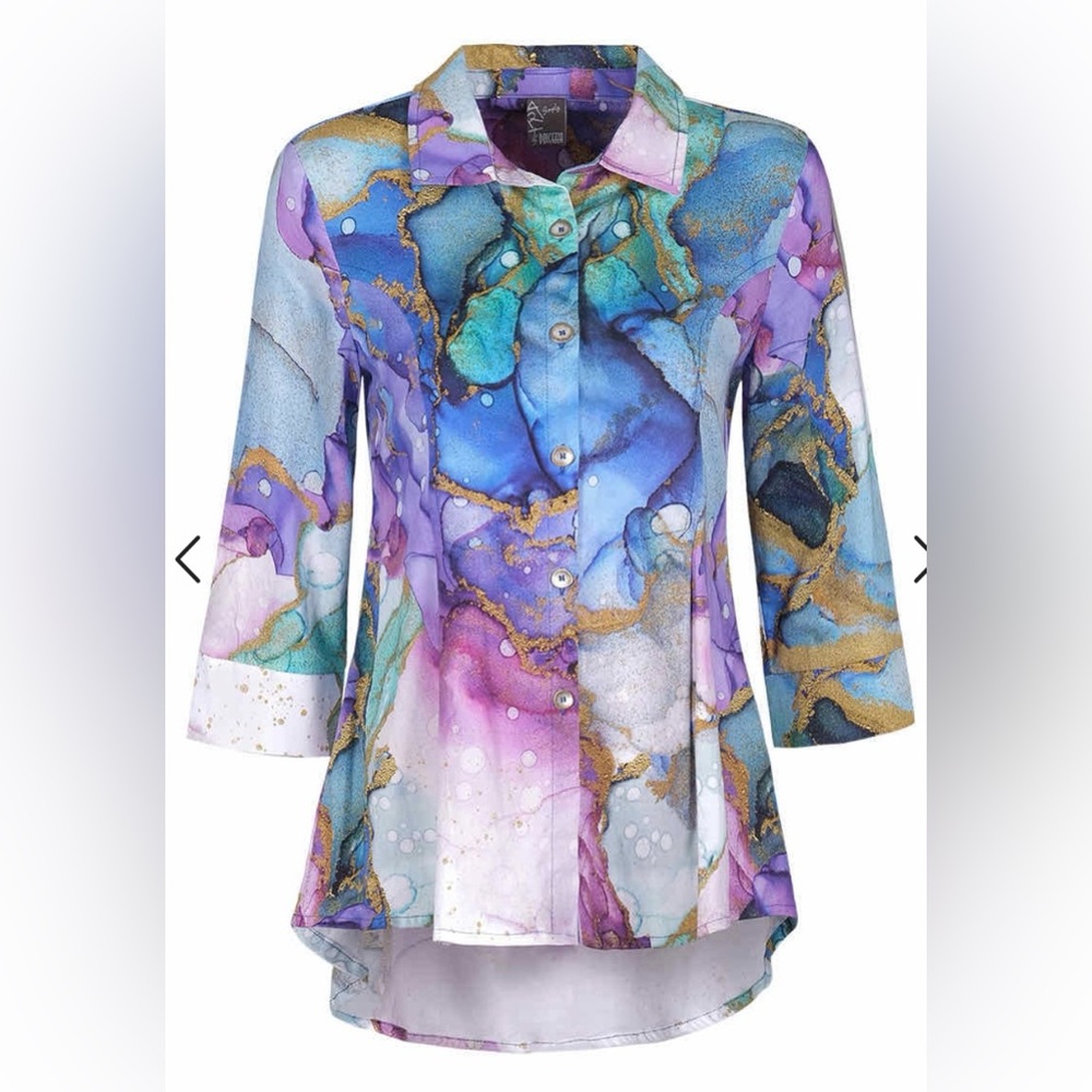 Dolcezza Long Sleeve Button Down Blouse - image 1
